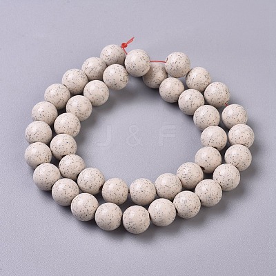 Natural Hokutolite Beads Strands G-L536-01-10mm-1
