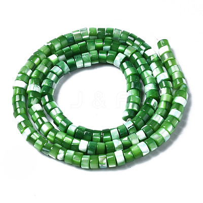 Natural Trochus Shell Beads Strands SHEL-S278-027C-1