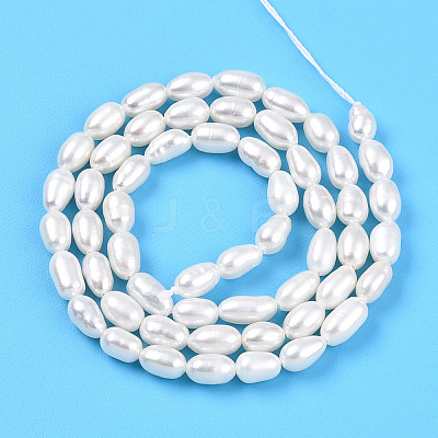 Natural Cultured Freshwater Pearl Beads Strands PEAR-N012-04M-1