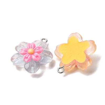 Transparent Resin Pendants RESI-A046-05A-1