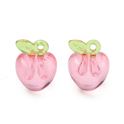 Transparent Acrylic Pendants AC-CBA97EB-05B-1