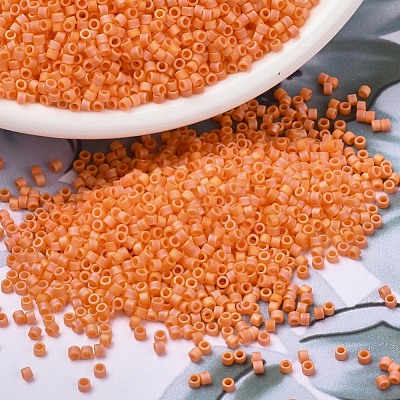 MIYUKI Delica Beads X-SEED-J020-DB1593-1