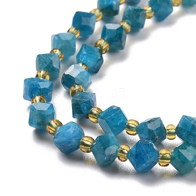 Natural Apatite Beads Strands G-P463-29-1