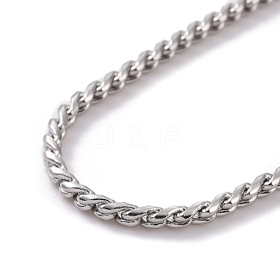 Tarnish Resistant 304 Stainless Steel Serpentine Chain Anklets AJEW-G024-04P-1
