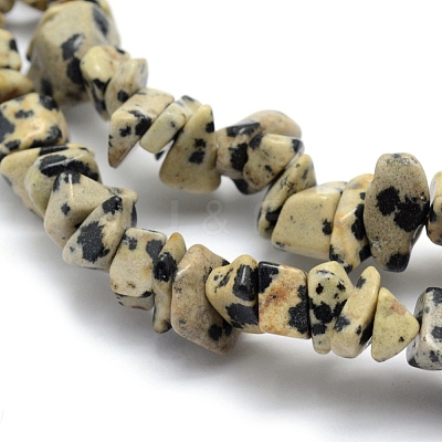 Natural Dalmatian Jasper Beads Strands G-P332-20-1