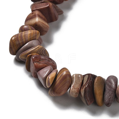 Natural Petrified Wood Beads Strands G-M205-89-1