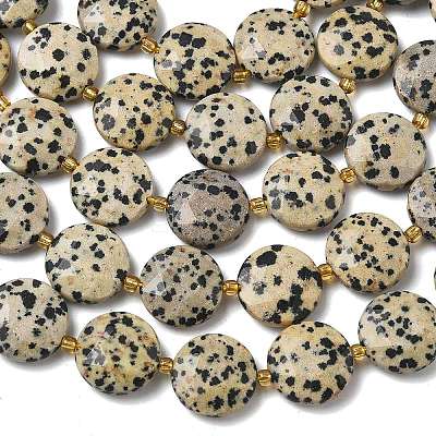 Natural Dalmatian Jasper Beads Strands G-A292-A06-01-1