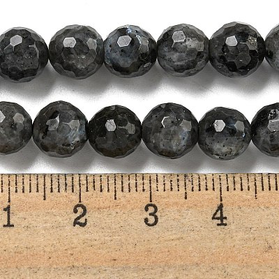 Natural Larvikite Beads Strands G-E571-A09-02-1