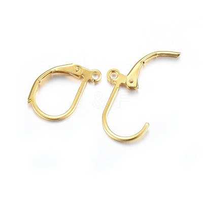304 Stainless Steel Leverback Earring Findings X-STAS-P210-31G-1