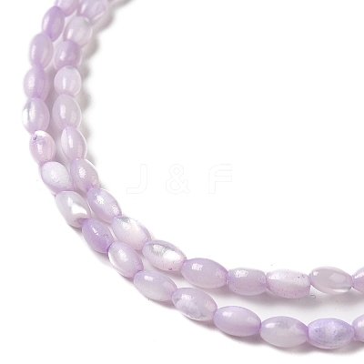 Natural Trochus Shell Beads Strands X-SHEL-K006-19B-1