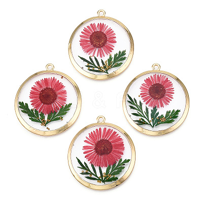 Alloy Epoxy Resin Pendants X1-PALLOY-TAC0044-82-1