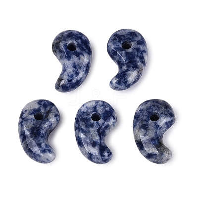 Natural Blue Spot Jasper Pendants G-S294-07B-14-1