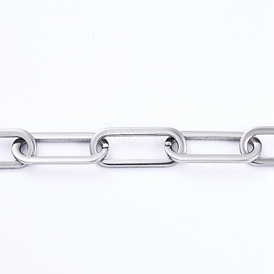 Non-Tarnish 3.28 Feet 304 Stainless Steel Paperclip Chains X-CHS-D031-03P-1
