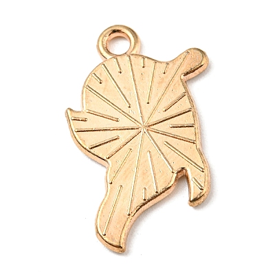 Alloy Enamel Pendants ENAM-G218-C08-1