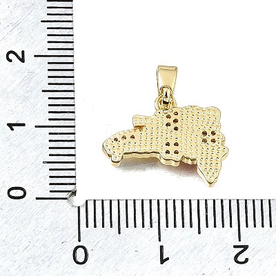Brass Micro Pave Clear Cubic Zirconia Pendants KK-C263-31A-G-1
