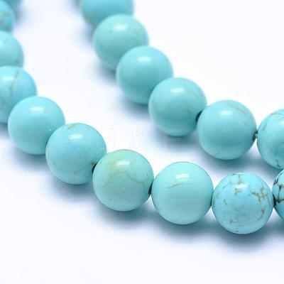 Natural Magnesite Beads Strands TURQ-G148-07-8mm-1
