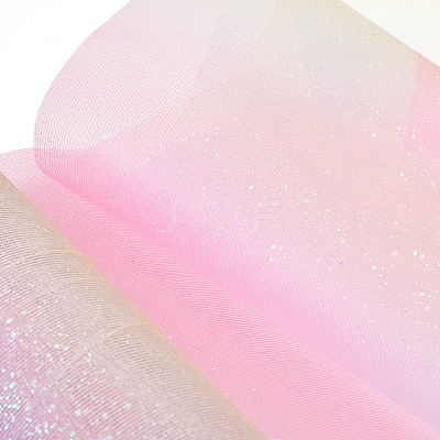 Polyester Deco Mesh Ribbons OCOR-WH0020-02A-1