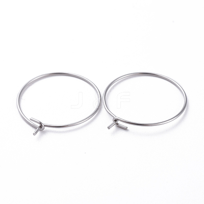 316 Surgical Stainless Steel Hoop Earring Findings X-STAS-J025-01B-P-1