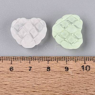 Frosted Transparent Acrylic Beads OACR-Q203-02-1