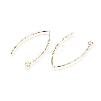 304 Stainless Steel Earring Hooks STAS-F227-26B-G-1
