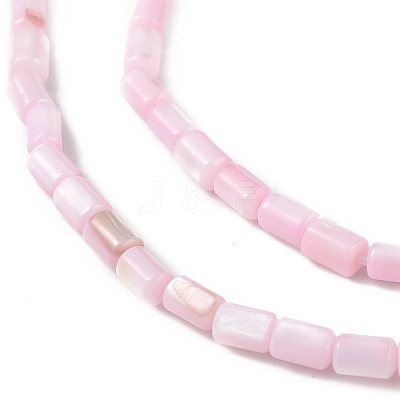 Natural Freshwater Shell Dyed Beads Strands SHEL-M018-12-09-1
