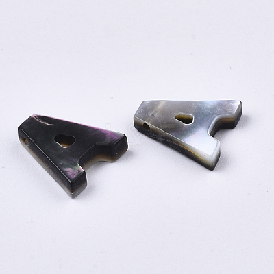 Natural Black Lip Shell Beads SSHEL-S265-001-M-1