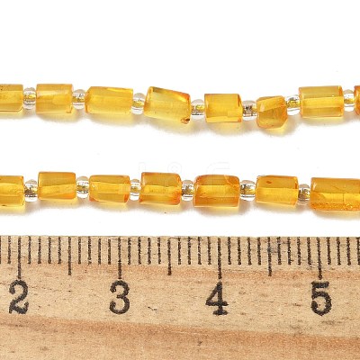 Natural Amber Beads Strands G-K387-G01-01-1