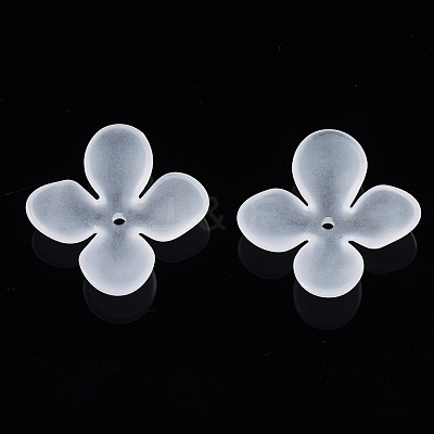 Transparent Acrylic Beads FACR-N005-003-1