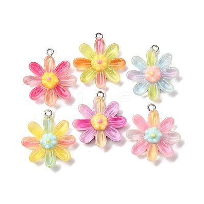 Transparent Resin Pendants RESI-A046-05C-1