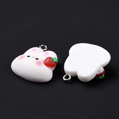 Resin Pendants X-RESI-M026-09-1