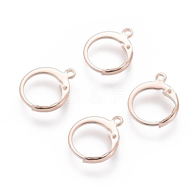 304 Stainless Steel Leverback Earring Findings STAS-D448-041RG-1