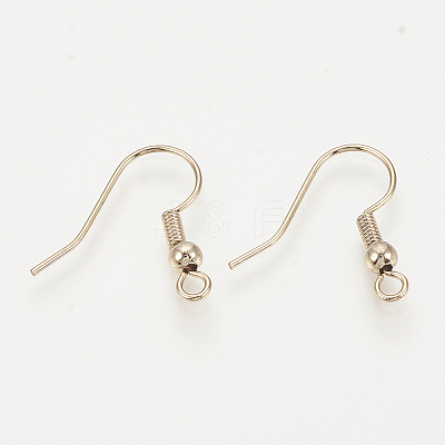 Brass Earring Hooks LS-X-KK-T029-132LG-NF-1