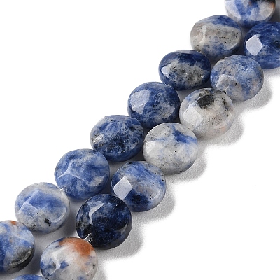 Natural Blue Spot Jasper Beads Strands G-K357-B14-01-1
