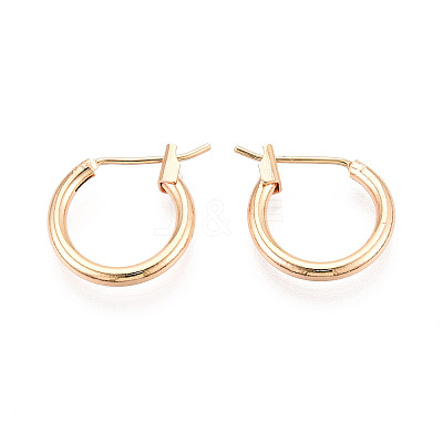 304 Stainless Steel Hoop Earrings EJEW-T048-25A-G-1