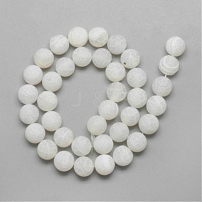 Natural Weathered Agate Bead Strands G-S237-8mm-03-1
