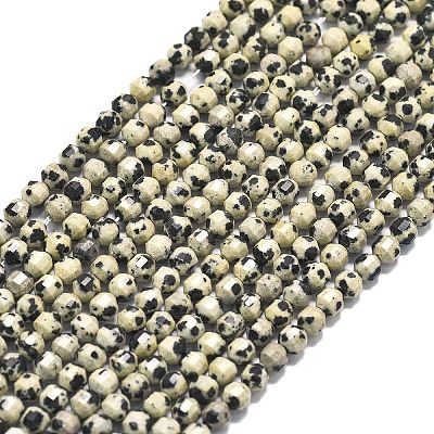 Natural Dalmatian Jasper Beads Strands G-A260-A10-01-1