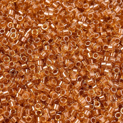 MIYUKI Delica Beads SEED-X0054-DB1702-1
