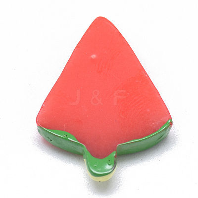 Resin Cabochons LS-CRES-Q198-190-1