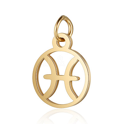 201 Stainless Steel Charms STAS-T036-T513-12-1