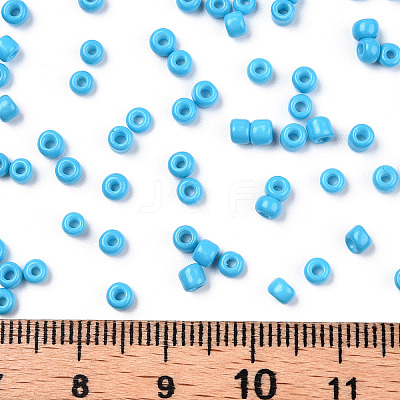Baking Paint Glass Seed Beads SEED-S001-K10-1