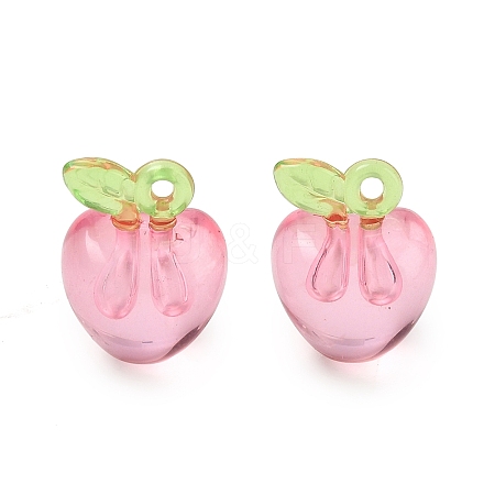 Transparent Acrylic Pendants AC-CBA97EB-05B-1