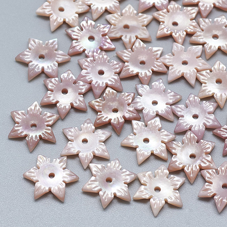 Pink Shell Beads SSHEL-S260-084-1