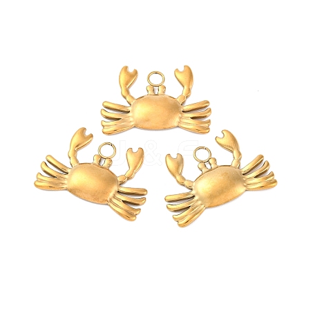 Ion Plating(IP) 304 Stainless Steel Pendants STAS-E182-08G-1