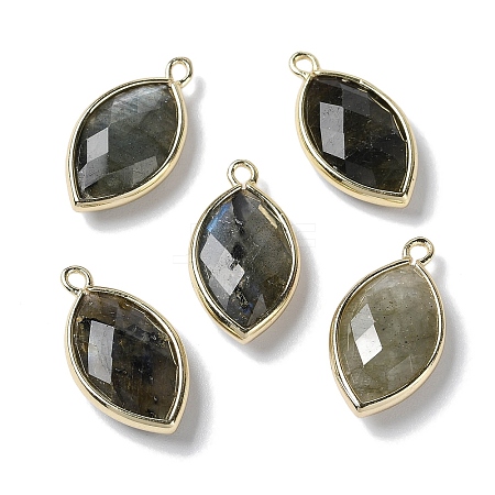 Natural Labradorite Pendants X-G-B009-01G-R-1
