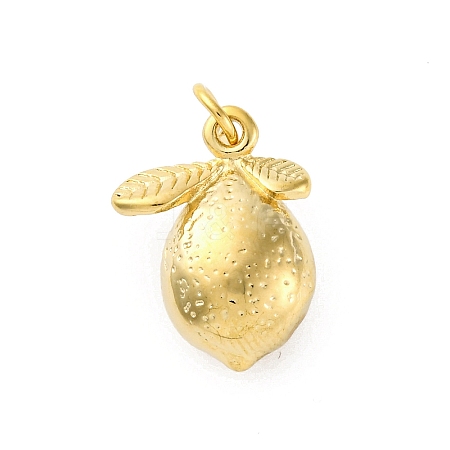 304 Stainless Steel Pendants X-STAS-U049-01A-08G-1