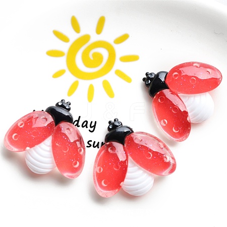 Luminous Resin Cabochons PW-WG8A58D-01-1