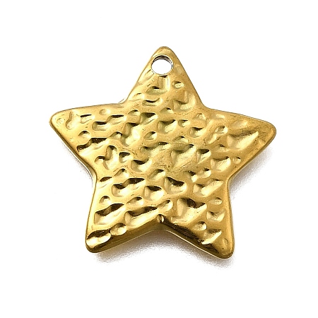 304 Stainless Steel Pendants STAS-Z163-01G-01-1