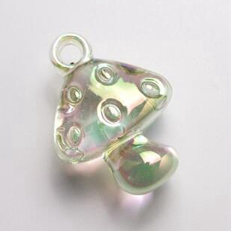 Transparent Acrylic Pendants TACR-TAC0009-07H-1