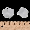 Frosted Acrylic Pendants SACR-F016-02C-3