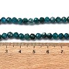 Natural Apatite Beads Strands G-A276-C08-4mm-02-5